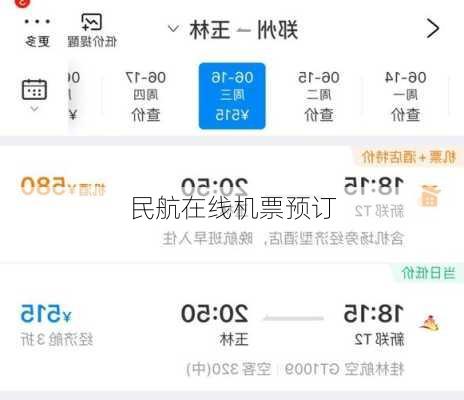 民航在线机票预订