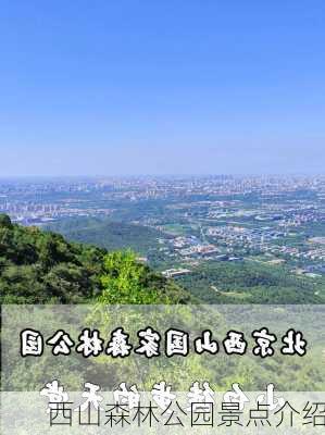 西山森林公园景点介绍