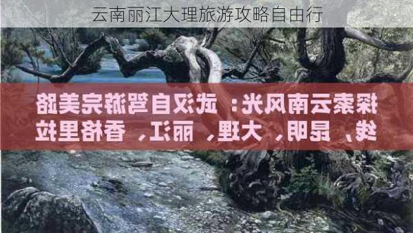 云南丽江大理旅游攻略自由行