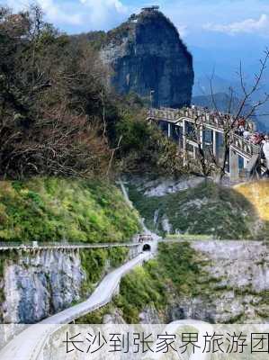 长沙到张家界旅游团