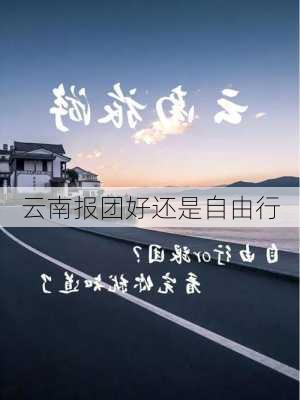 云南报团好还是自由行