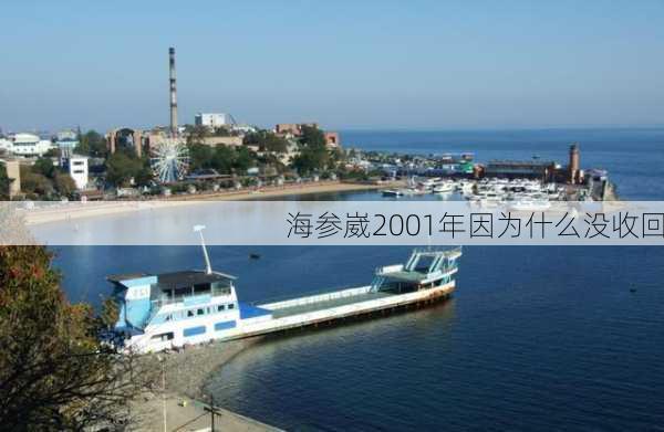 海参崴2001年因为什么没收回