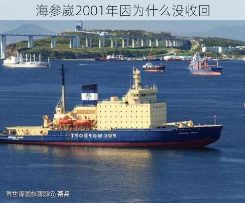 海参崴2001年因为什么没收回