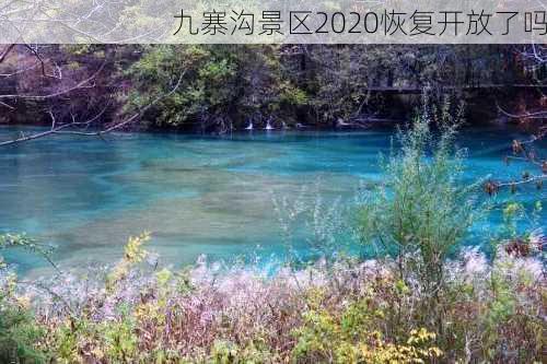 九寨沟景区2020恢复开放了吗