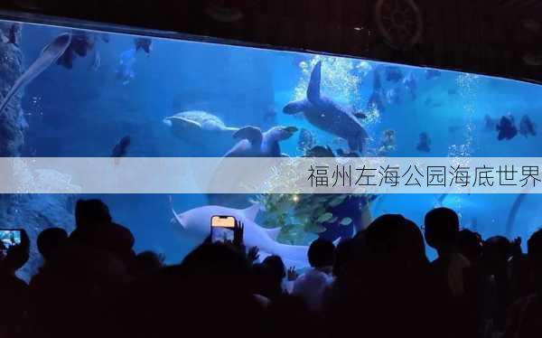 福州左海公园海底世界