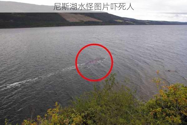 尼斯湖水怪图片吓死人