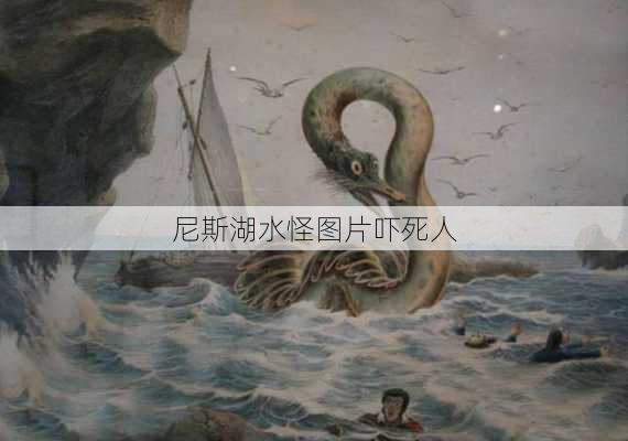 尼斯湖水怪图片吓死人