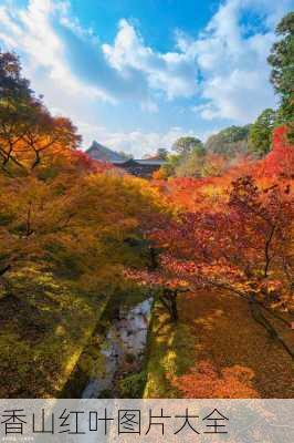 香山红叶图片大全