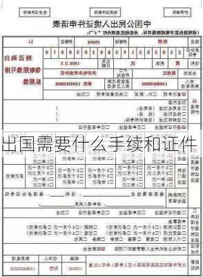 出国需要什么手续和证件