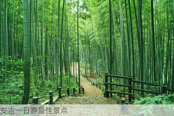 安吉一日游最佳景点