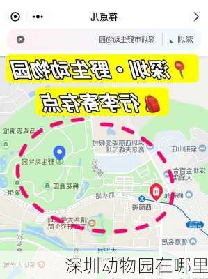 深圳动物园在哪里