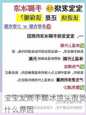 宝宝发烧手脚冰凉头很烫什么原因