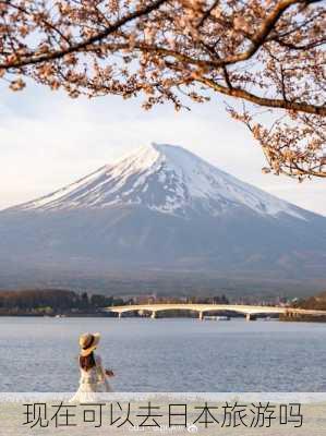 现在可以去日本旅游吗