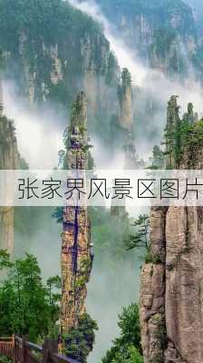 张家界风景区图片