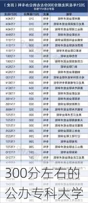 300分左右的公办专科大学