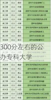 300分左右的公办专科大学