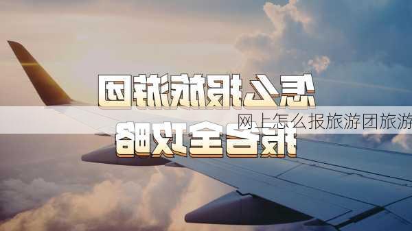 网上怎么报旅游团旅游