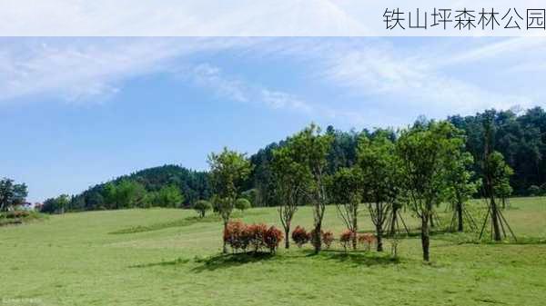 铁山坪森林公园