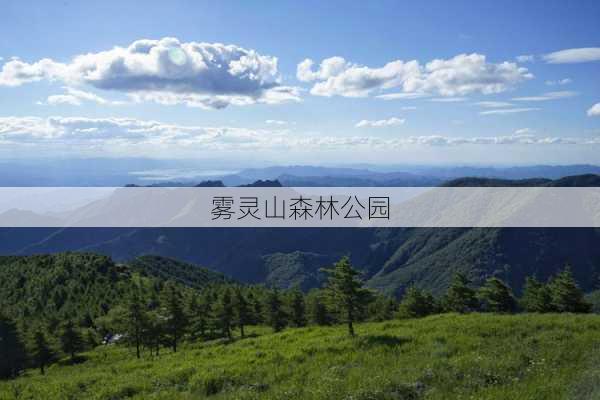 雾灵山森林公园