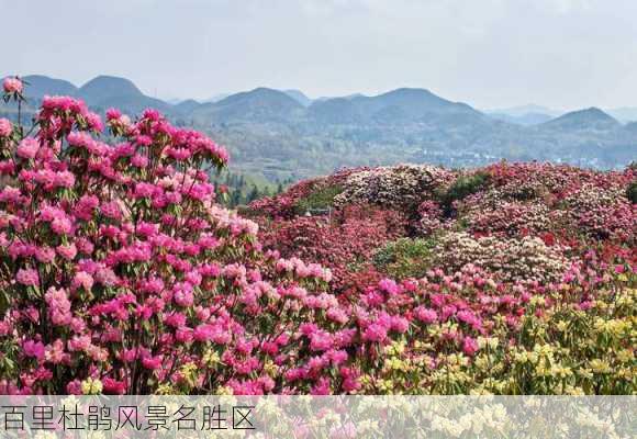 百里杜鹃风景名胜区