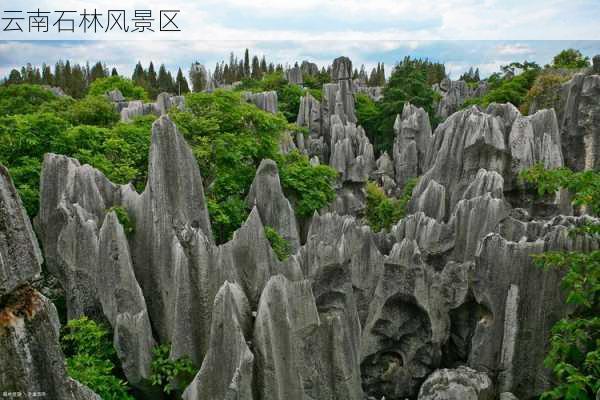 云南石林风景区