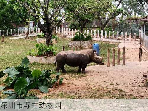 深圳市野生动物园