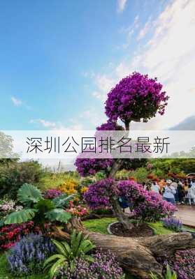 深圳公园排名最新