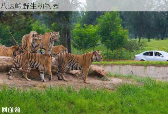 八达岭野生动物园