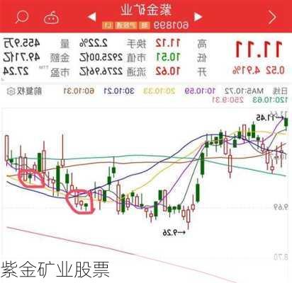 紫金矿业股票