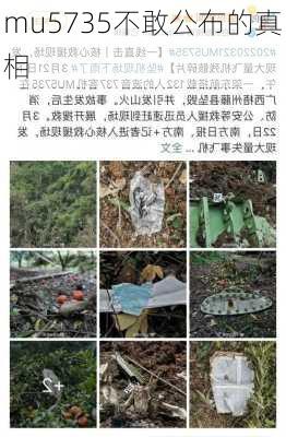 mu5735不敢公布的真相