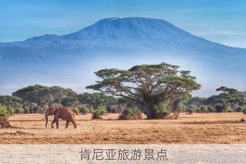 肯尼亚旅游景点