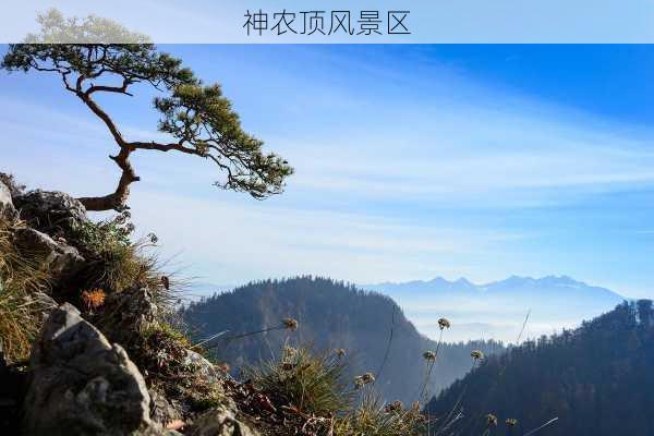 神农顶风景区