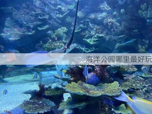 海洋公园哪里最好玩