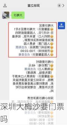 深圳大梅沙要门票吗