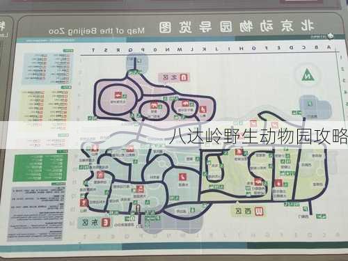 八达岭野生动物园攻略