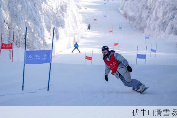 伏牛山滑雪场