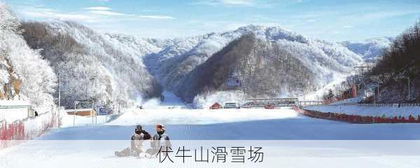 伏牛山滑雪场