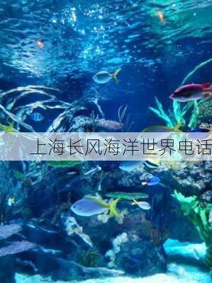 上海长风海洋世界电话