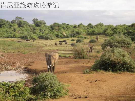 肯尼亚旅游攻略游记