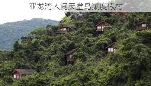 亚龙湾人间天堂鸟巢度假村