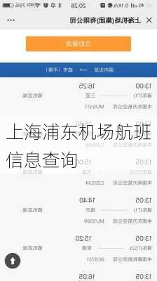 上海浦东机场航班信息查询