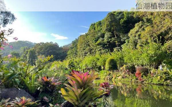 仙湖植物园