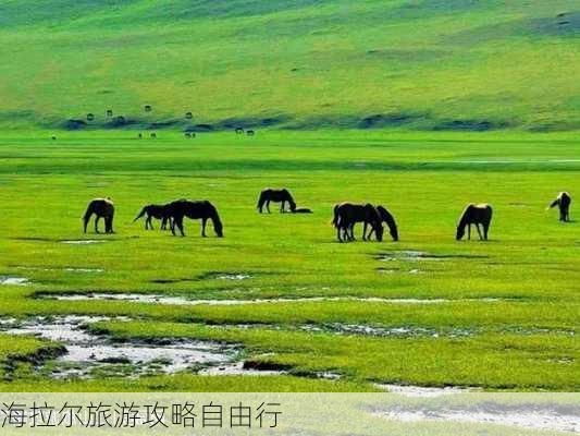 海拉尔旅游攻略自由行