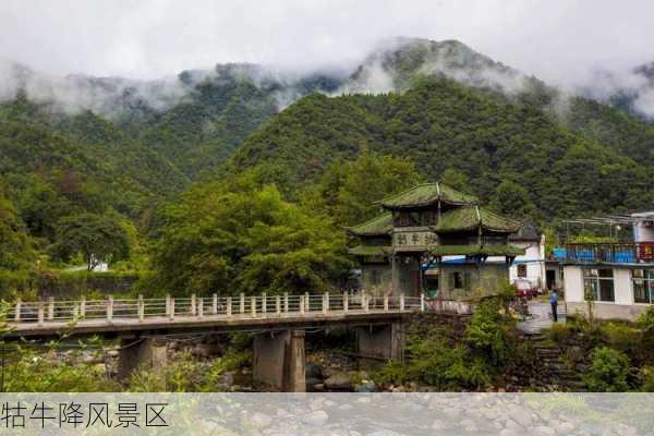 牯牛降风景区