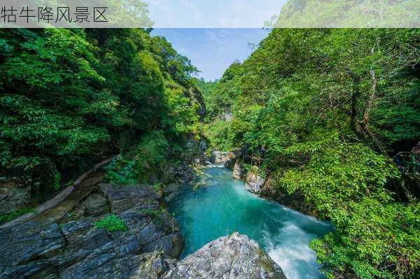 牯牛降风景区