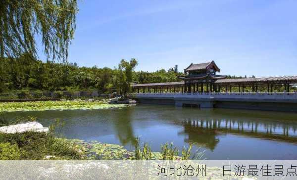 河北沧州一日游最佳景点