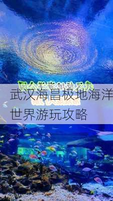 武汉海昌极地海洋世界游玩攻略