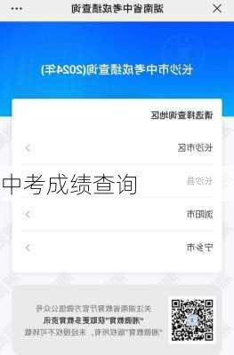 中考成绩查询