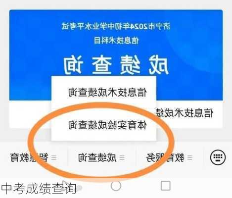 中考成绩查询