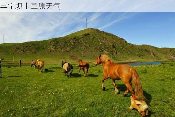 丰宁坝上草原天气